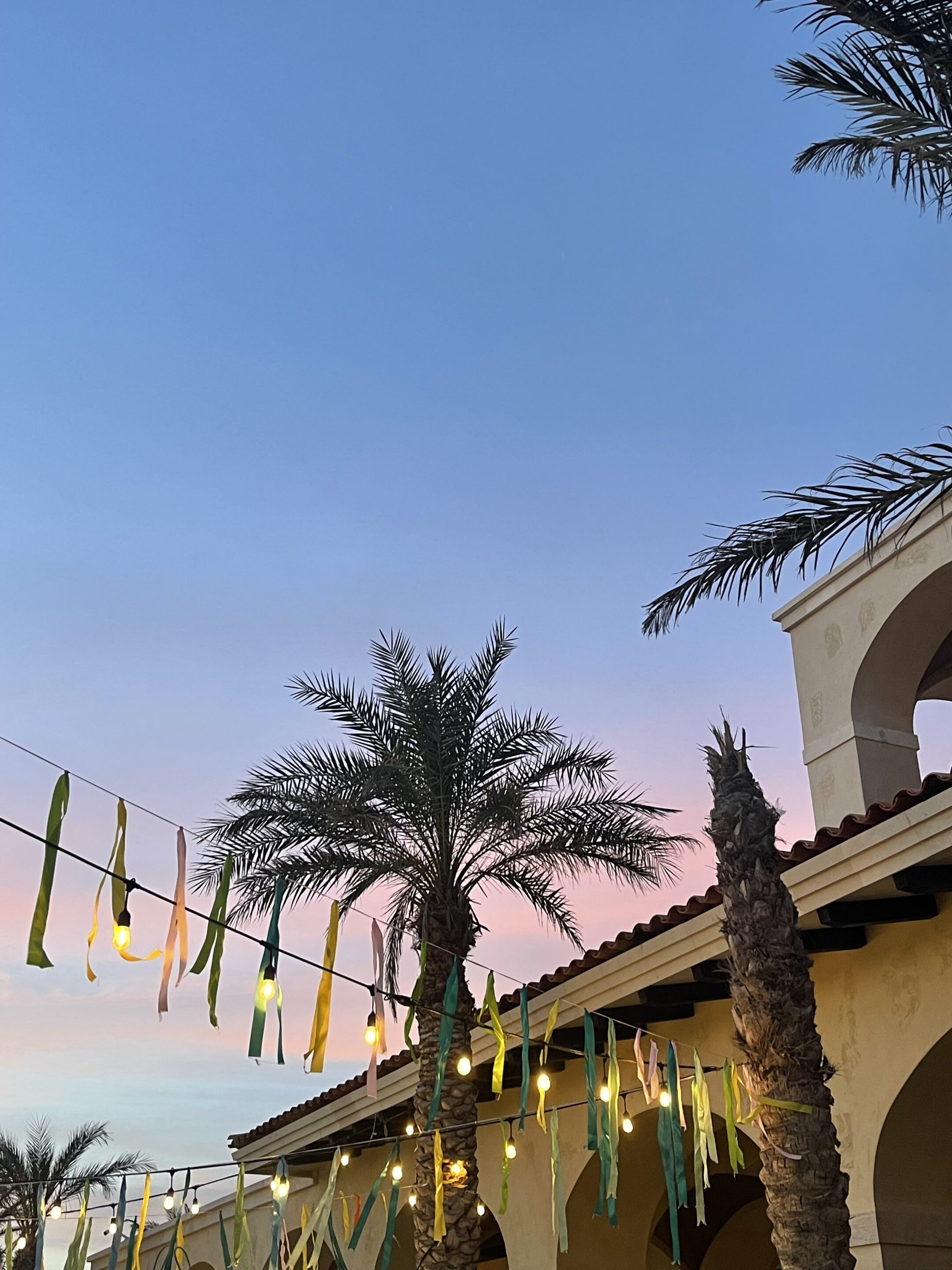 los-cabos-mx (1)